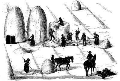 輪作：1855年の種のためのライ麦草の脱穀 作： Unbekannt