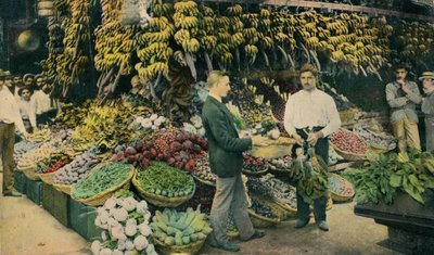 キューバの果物店、c1910 作： Unbekannt