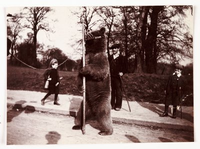 ダンシング・ベア（1905年頃 作： Unbekannt