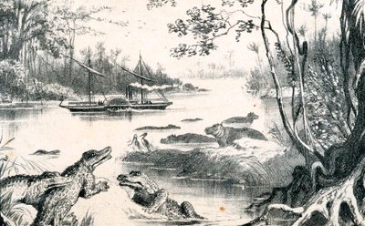 アフリカ、ザンベジをナビゲートするデイヴィッドリビングストーン、1852年から1864年、c1878 作： Unbekannt