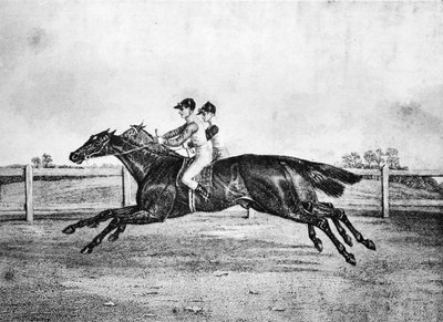 LanercostとBeeswingの間のデッドヒート、1835-1850、1911 作： Unbekannt
