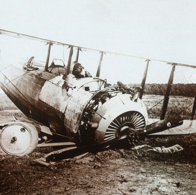 ダウンしたSalmson飛行機の死んだパイロット、c1914-c1918 作： Unbekannt