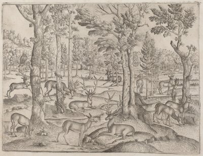 森の鹿、c。 1520年。 作： Unbekannt