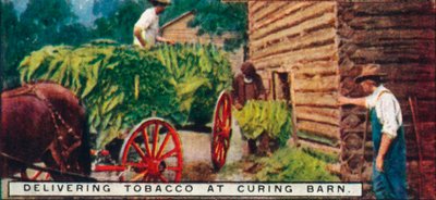 1926年のCuring Barnでのタバコの配達 作： Unbekannt
