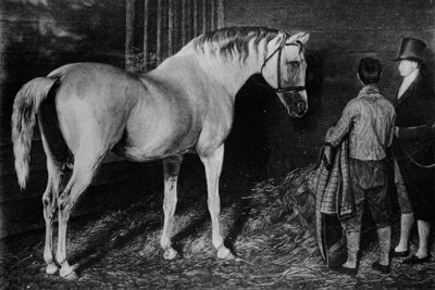 デルピニとスケルトン城のスクワイアウォートン、18世紀、1911年 作： Unbekannt