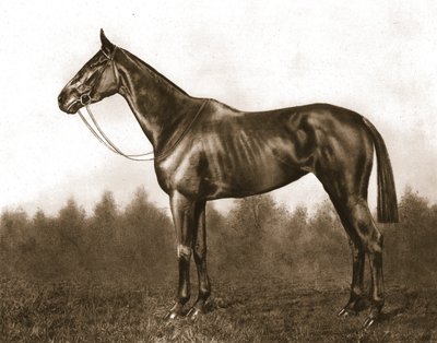 Demure、1911年。 作： Unbekannt