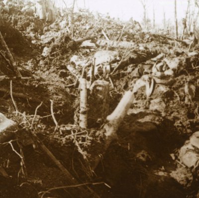 破壊された避難所、フランス北部のレザルパージュ、1915年。 作： Unbekannt