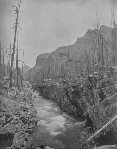 デビルズキャニオン、バンフ、NWT、カナダ、c1897。 作： Unbekannt