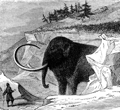 羊毛質のマンモスの発見、1779年から1870年 作： Unbekannt