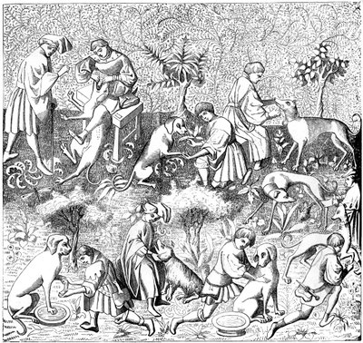 犬の病気とその治療法、18世紀1849 作： Unbekannt