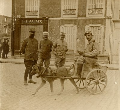ドッグカート、フランス、c1914-c1918 作： Unbekannt