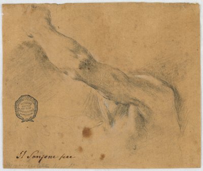 描画、研究-老人の左腕と体の隣接部分 作： Unbekannt