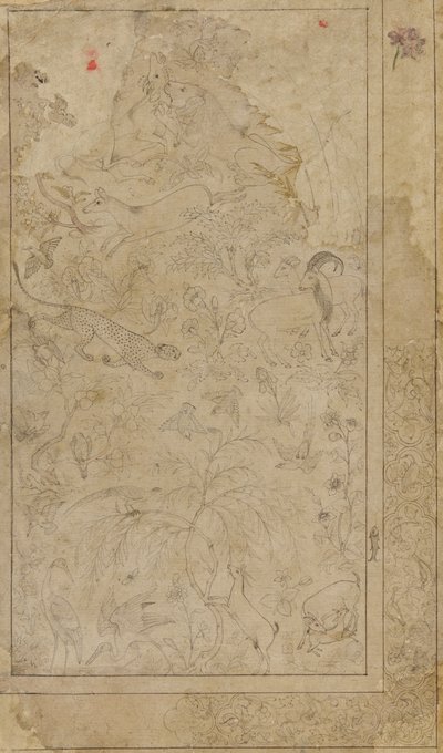 動物や植物の絵、17世紀初頭。 作： Unbekannt