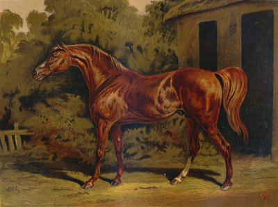 Eclipse、c1879。 作： Unbekannt