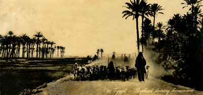エジプト-シェパードが帰路、c1918-c1939。 作： Unbekannt