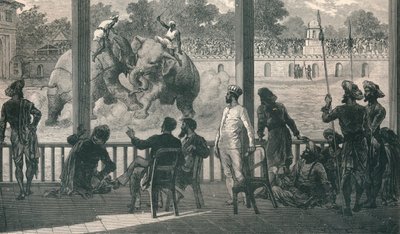 バローダでの象の戦い、1896年 作： Unbekannt