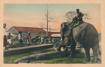 Elephant Stucking Timber、c1900 作： Unbekannt