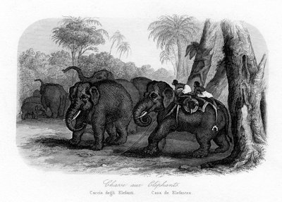 象狩り、インド、c1840 作： Unbekannt