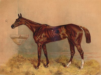 エンブレム、スティープルチェイスマーレ、c1879。 作： Unbekannt