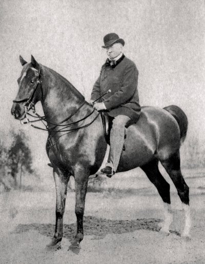 エミールドジラルダン、フランスのジャーナリスト、広報担当者、政治家、1866年 作： Unbekannt