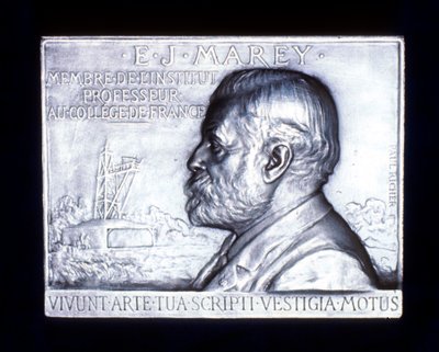 エティエンヌジュールマレー1830-1903年、フランスの生理学者、19世紀 作： Unbekannt