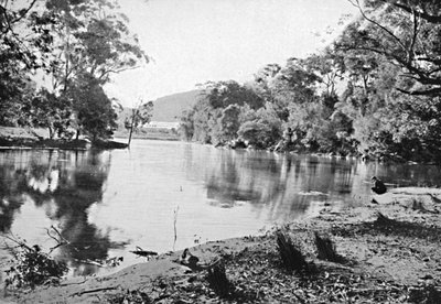 イブニングシャドウ、国立公園、c1900。 作： Unbekannt