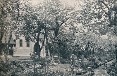 ウィリアムモリスc1900によって最初にレイアウトされた果樹園の例 作： Unbekannt