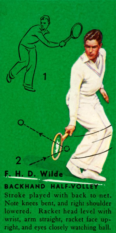 FHDワイルド-バックハンドハーフボレー、c1935。 作： Unbekannt