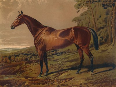 フェアネル、c1879。 作： Unbekannt