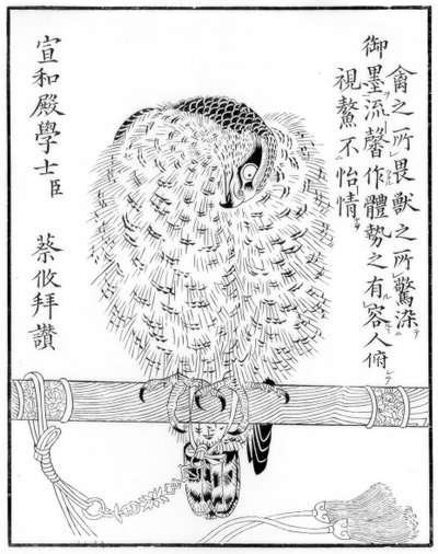 ファルコン、1886 作： Unbekannt