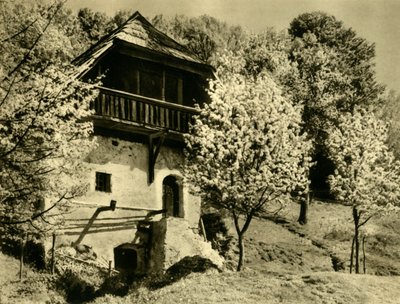 農家、ケルンテン州、オーストリア、c1935。 作： Unbekannt