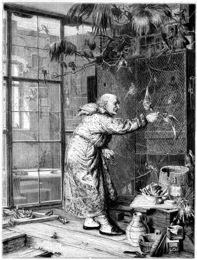 ペットに餌をやる、1880 作： Unbekannt