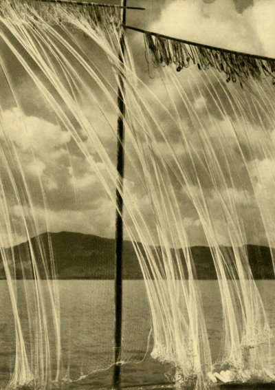漁網、アッターゼー、アッパーオーストリア、c1935。 作： Unbekannt