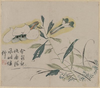 開花リリー、18世紀。 作： Unbekannt
