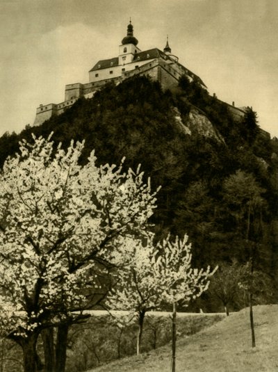 フォルヒテンシュタイン城、ブルゲンラント州、オーストリア、c1935。 作： Unbekannt
