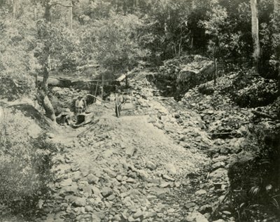 Fossickers at Work、1901。 作： Unbekannt