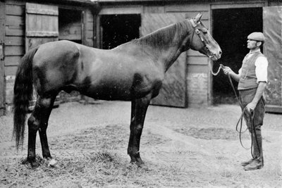 フォックスホール、1880-1904、1911 作： Unbekannt