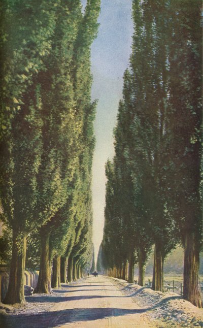 フランス、c1930s 作： Unbekannt