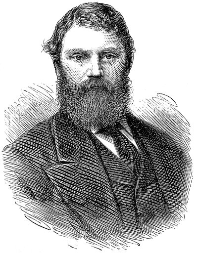 フランシスエドマンドアンスティ1833-1874、イギリスの医師、1874年 作： Unbekannt