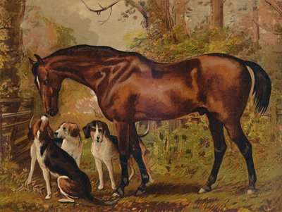 フリーメーソン-後期ヒューゴメイネルイングラムEsq。のお気に入りのハンター、c1879。 作： Unbekannt
