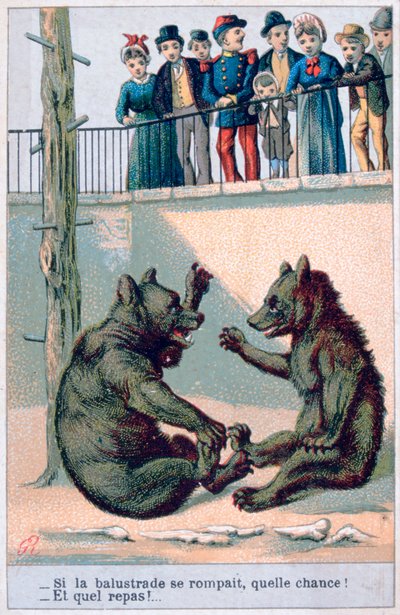 19世紀のフランスの動物学的はがき 作： Unbekannt