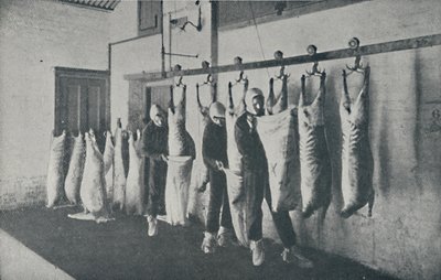 冷凍肉、1910 作： Unbekannt