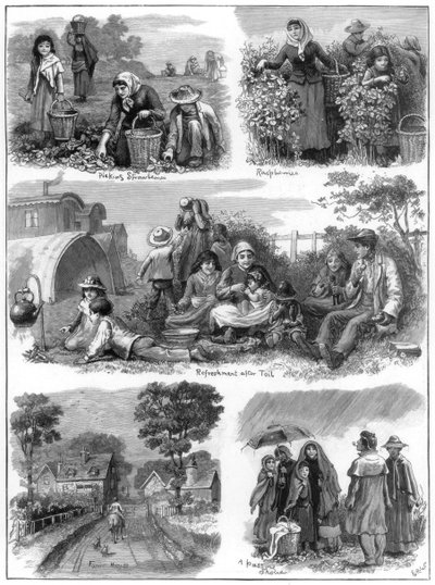 果物収集家、1899年 作： Unbekannt