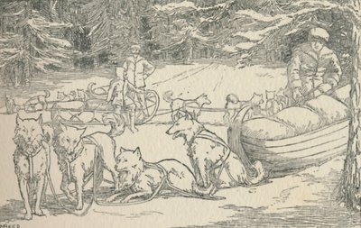 毛皮トラッパー、1924 作： Unbekannt