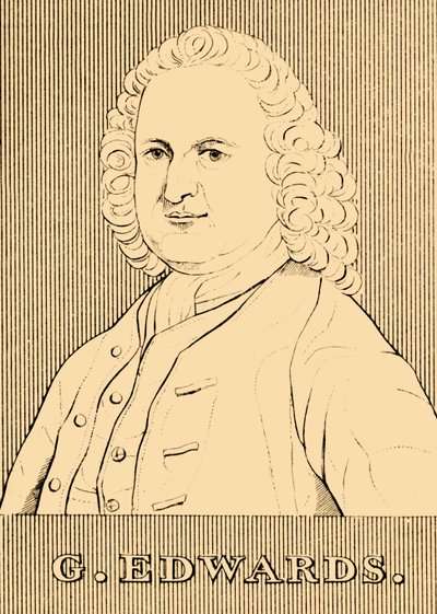 G.エドワーズ、1694年-1773年、1830年。 作： Unbekannt