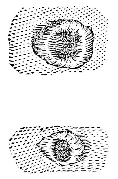 ガリレオが月のクレーターを描いた、1611年、c1655 作： Unbekannt