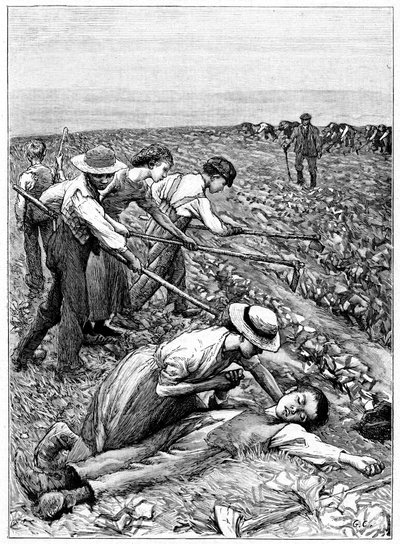児童労働の集団制、C1885 作： Unbekannt