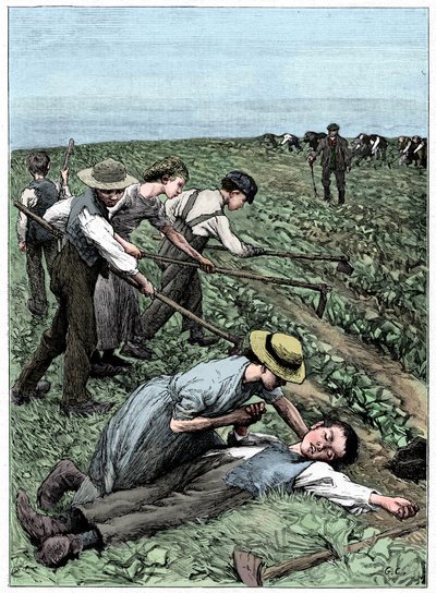 児童労働の集団制、C1885 作： Unbekannt