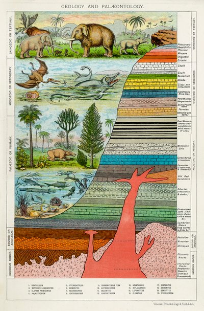 地質学と古生物学、c1880 作： Unbekannt