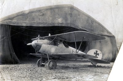ドイツアルバトロスDV、ソイリー、フランス、1918年1月2日 作： Unbekannt